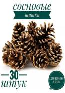 ���� �����. ����