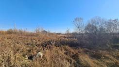 ������ ������ ������� 12 ����� � ����� ������. 1 200���.��., ����� ���������� �������, ���., �������������, ������������� ����