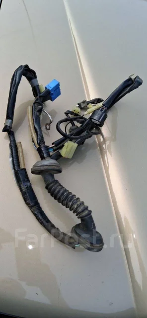 �������� ������ ����� ����