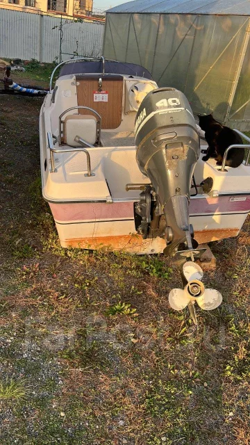 Yamaha Fish 15. 2001 ���, ����� 4,5��., ��������� ���������, 40��.�., ������ ����