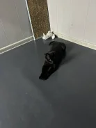 �����. ����