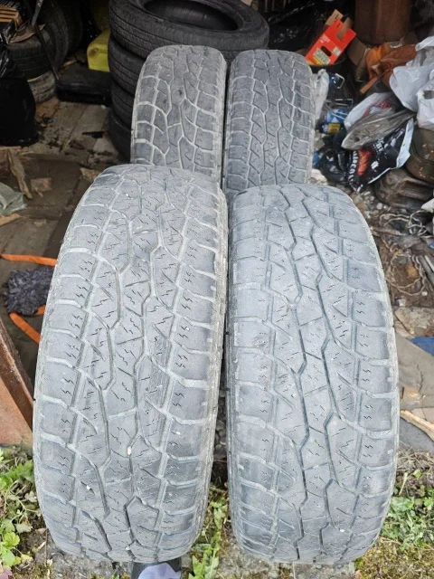 Triangle. ����� at, 2023 ���, �/�, ����� 40 % ����