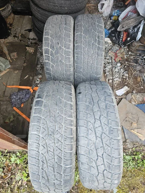 Triangle. ����� at, 2023 ���, �/�, ����� 40 % ����