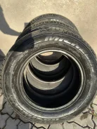 Michelin Drice. ������, �/�, ����� 90 %. �������� ������� ����