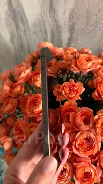 Apple iPhone 13 Pro Max. �/�, 128 ��, ������ ����