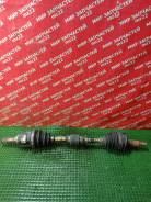 ������ �������� ����� Toyota NCP141, (��������. ), 1NZFE, 33-2 Toyota Porte [402381] 4342052261 ����