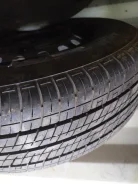 Dunlop SP 10