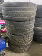 Austone. ������, ��� �����, 2020 ���, �/�, ����� 50 % ����