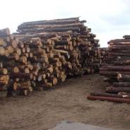  , - .  " ".     69/1 