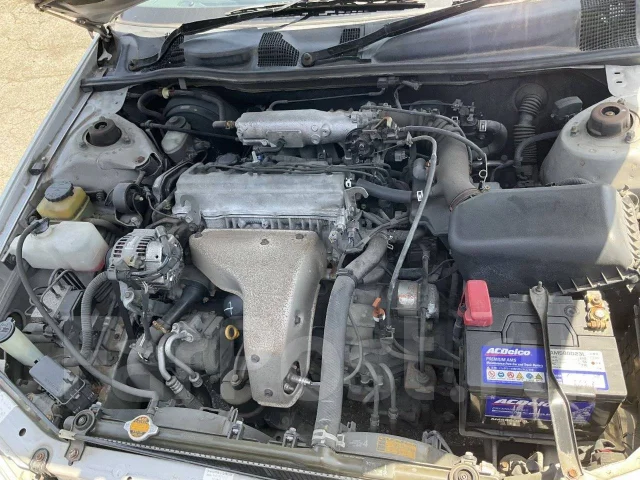 Toyota Camry Gracia. 1998, SXV20 ����