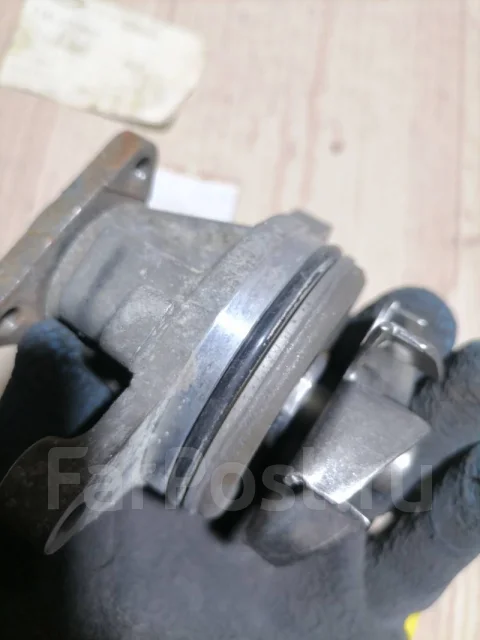����� Ford Focus Ford Focus 1584043 ����