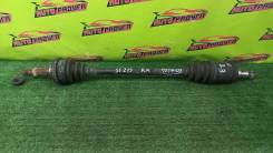 ������ CT216, CT216G 4236033010, ������ ������ 4236033010 ����