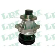 ����� ������� WP0215 ����
