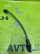 ����������� ������ Solara MCV31 3mz-fe 2008 �.78000 �� [8946506130] 8946506130 ����