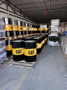 CAT. �����������, 200��. ����