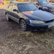 Toyota Windom ����