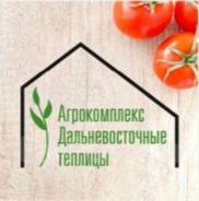    -   .   "".  ..,  , ., ., ...