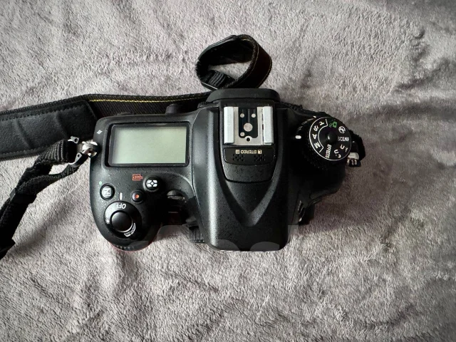 Nikon D7100 ����