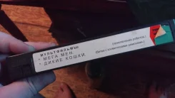 ������������ ���� ��� ����