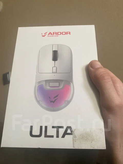 ���� ������������. ����