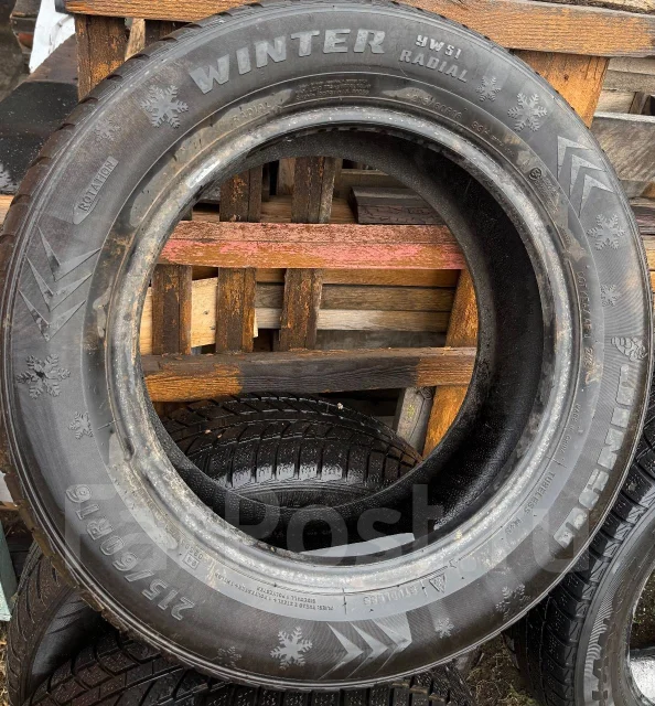 Jinyu YW51 Winterpro. �����������, 2020 ���, �/�, ����� 30 % ����