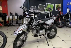 Regulmoto Pilot 110EA. 110����. ��., ��������, ��� ���, ��� �������. ��� ����� �� ������������ ����