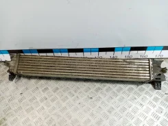 ���������� - (���������: �������) [�������] [�/�] FIAT 1382428080 1382428080 ����