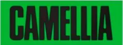 ���� ��� Subaru Forester/Outback/Impreza 10- FB20/FB25 Camellia 13143AA110 13143AA110 ����