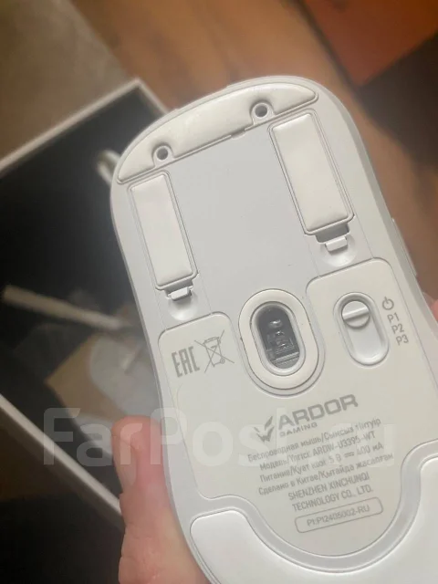 ���� ������������. ����
