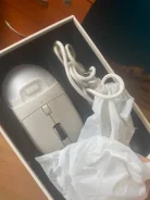 ���� ������������. ����