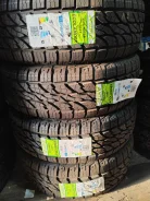 Rapid Ecolander. ������, 2025 ���, �����. ��� ����� �� ����������� ����
