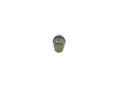 ������ ����������� ��������, Common-Rail-System Bosch 1110010019 1110010019 ����