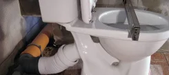 ��������� ��������, ���������, ����. ����