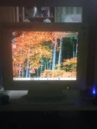 Samsung. 14", ���������� �� (LCD, LED, QLED) ����