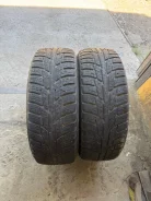 Zeta Antarctica 6. ������, ��� �����, �/�, ����� 35 % ����