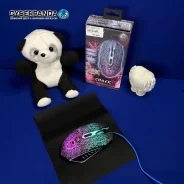 ������ �������. ����