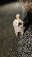 ������. ����