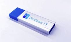 Microsoft Windows 11. ����