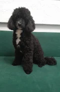 ������. ����