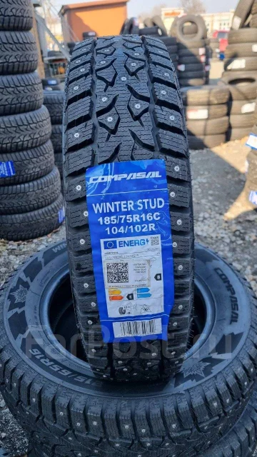 Compasal Winter Stud. ������, ����������, 2025 ���, ����� ����