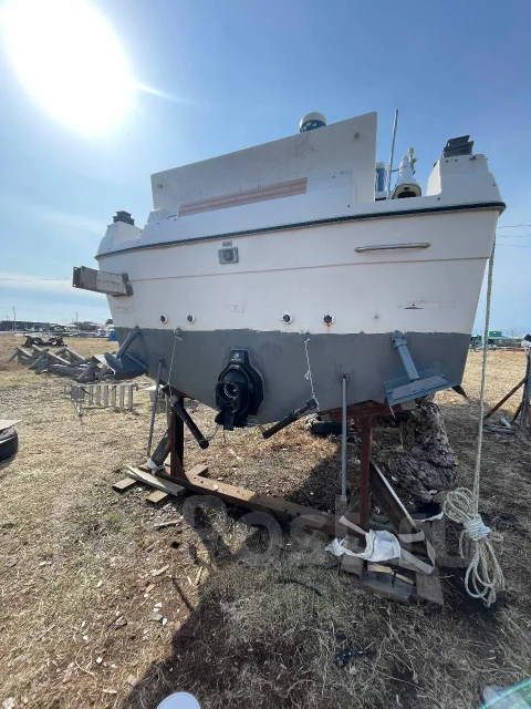 Bayliner. 1992 ���, ����� 7,75��., ��������� ������������, 240��.�., ������ ����