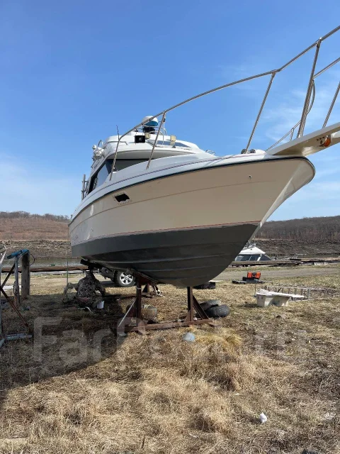 Bayliner. 1992 ���, ����� 7,75��., ��������� ������������, 240��.�., ������ ����