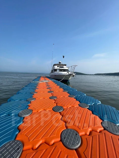 Bayliner. 1992 ���, ����� 7,75��., ��������� ������������, 240��.�., ������ ����