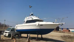 Bayliner. 1992 ���, ����� 7,75��., ��������� ������������, 240��.�., ������ ����
