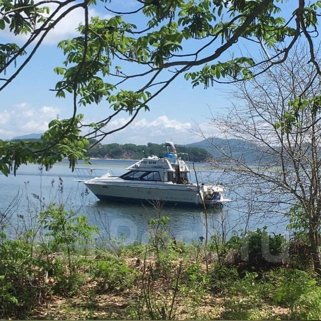Bayliner. 1992 ���, ����� 7,75��., ��������� ������������, 240��.�., ������ ����
