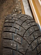 Zeta Antarctica Sport. ������, ����������, 2022 ���, �/�, ����� 5 % ����