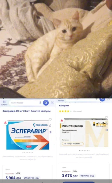 �����. ����