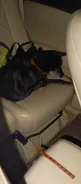 ������. ����