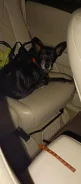 ������. ����