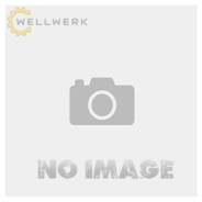 ���� /���� ����������������, 81259020460 Wellwerk 81259020460 ����